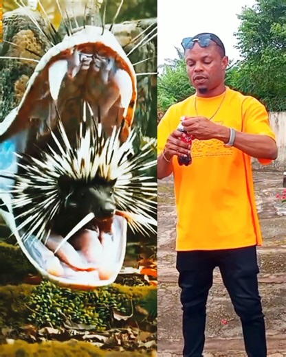 3.4M views · 24K reactions | Small but mighty | MJE music world | Facebook