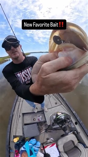Gary Key on Instagram: "Show the fish something different. @spro.usa Cover Jumper with @missile_baits Spunk Shad trailer from @copperstatemarinetackle is different. Longer blade and totally different vibration. It’s my new favorite vibrating jig. Hands down. I am running this on the iRod Quercus mid-crank. #jamesriver #virginiafishing #jigfishing #irodfishing #sprofishing #missilebaits"