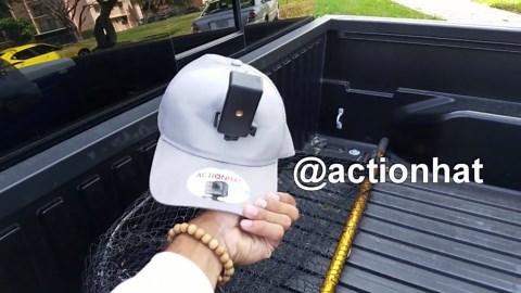 Wild iguana breaks into my house and attacks!