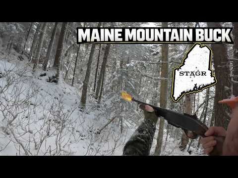First Tracking Day Of The Season | Maine Deer Camp ‘25 | The Haircut Buck