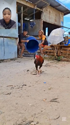 I can't stop laughing 🤣🤣 thi is so funny 😂 to instead I rewatch it again #highlightseveryone #viralreelsシ #fypviralシ #viralvideoシ #foryouシ #everyone #follower #funnyvideos @topfans | Tiana Tessy empire