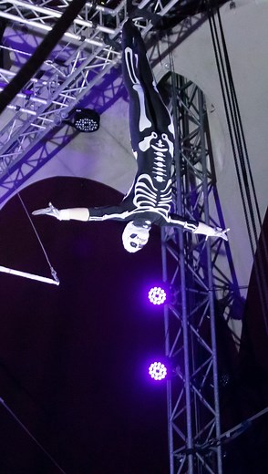 Tickets for the '23 Halloween Shows are on sale now! Performance Schedule: Thursday, Oct. 19 Friday, Oct. 20 Friday, Oct. 27 Saturday, Oct. 28 Doors: 6pm / Show: 7pm Entry is free for FSU students! On the day of show, simply present your FSU ID at the door. Visit http://circus.fsu.edu for details and tickets. #fsucircus #fsuflyinghighcircus #fsu #floridastateuniversity #circus #circusarts #doubletrapeze #circusdays #trapeze #spanishweb #handbalancing #rolabola | The FSU Flying High Circus