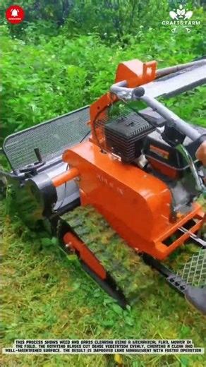 플레일 모어를 이용한 잡초 제거: 기계식 잔디 깎기를 통한 경작지 관리