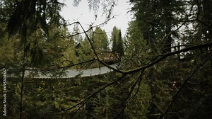 Capilano Suspension Bridge in Vancouver, Canada