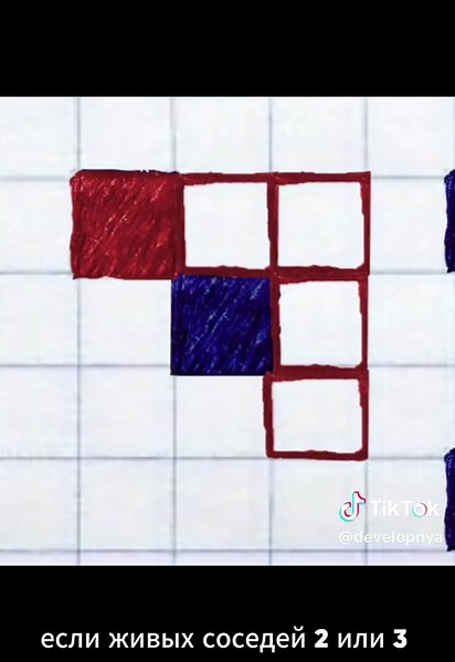 Игра в жизнь, клеточные автоматы #айти #программирование #питон #python