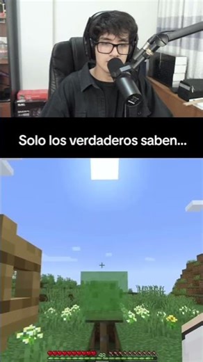 These are the best Minecraft curiosities!