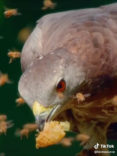 حسابات مقترحة