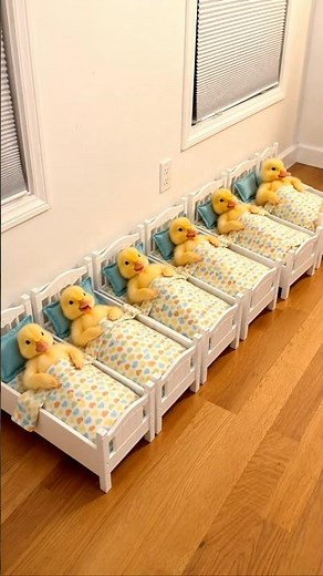 The Cutest Duck Bedtime Routine Ever! 🥹🦆
