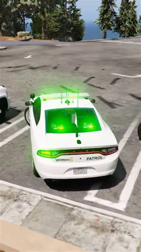 Grippe 6 Security pack in FiveM with awesome green lights!