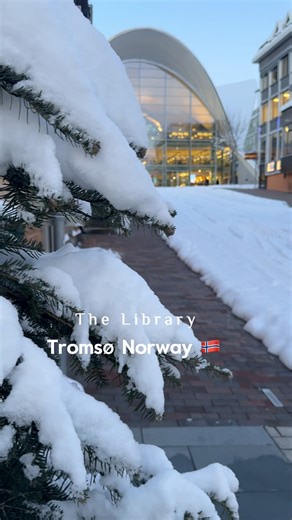Visit the unique library in our city 📕 You know when you see it 🤩✨ #TeamLPvlog #visitnorway #tromsø | Team Labastilla-Pagaran