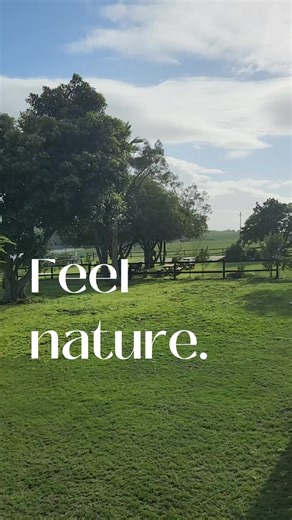 Free range Farm Shop 🚜 - 𝗩𝗶𝘀𝗶𝘁 𝗥𝗲𝗱𝗯𝗮𝗿𝗻 𝗮𝘁 - Middelrietvlei Road, Near George Airport - https://bit.ly/35qgV7H | Red Barn Free Range Chicken & Farm Shop