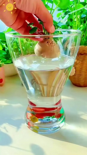 4.5K views · 52 reactions | Tips for growing unique plants #gardeningtipsforbeginners #gardeninghacks #diygarden #gardengrowthguide | Seed to Flower | Facebook