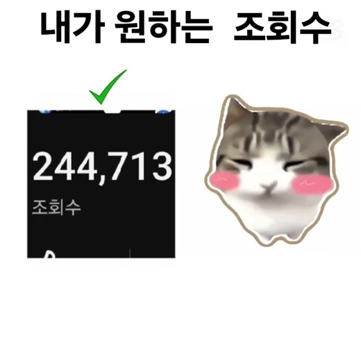 담담 디디디디 3탄 #damdamdidididi#담담디디디디#고양이짤#고양이밈#라이벌#로블록스# #포켓몬고 #복귀