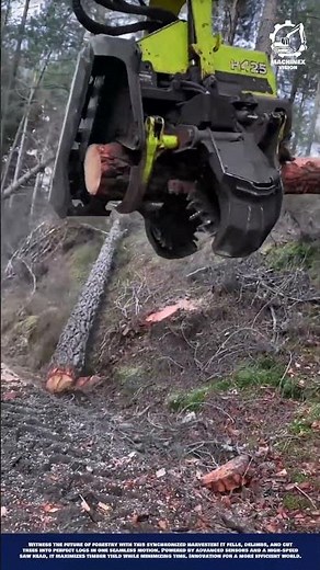 Smart Tree Harvesting Machine Innovation for Forest Thinning and Ecological Management