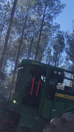 Exploring TigerCat Forestry Equipment for Loggers