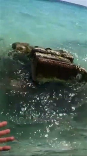 CANCUN: A Shipwreck