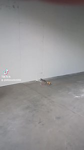 Billy needs a job... | Boofers of Butler