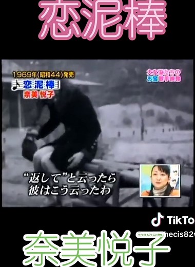 恋泥棒 - 昭和アイドル奈美悦子の魅力