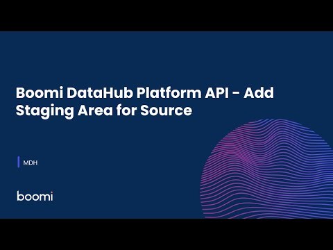 Boomi DataHub Platform API - Add Staging Area for Source