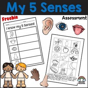 5 Senses Assessment FREEBIE - Preschool & Pre-K Science and Literacy