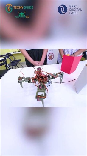 Spider Bot