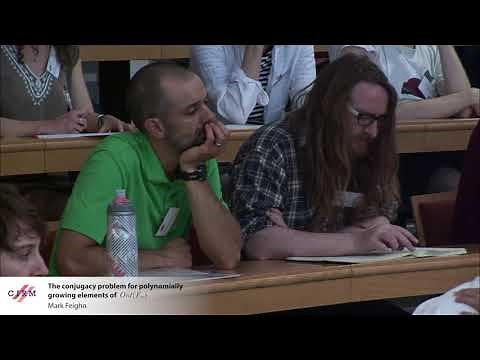 Mark Feighn: The conjugacy problem for polynomially growing elements of Out(F_n)