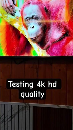 Led display test