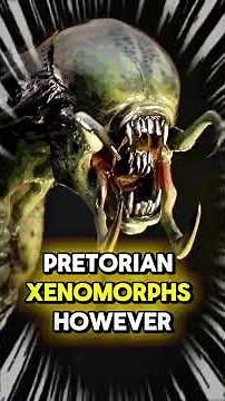 The Predalien Queen Explained ! #predalien #xenomorph #alien #predator #yautja #fyp #shorts #movie