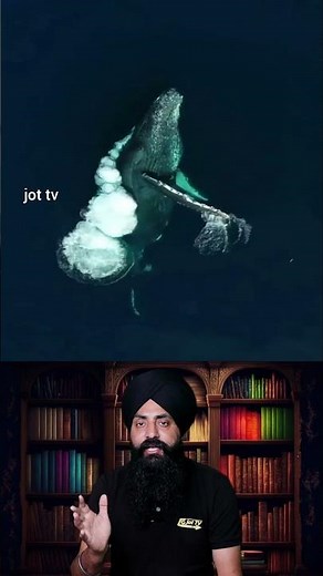 The Whale's Last Gift: How its Death Sustains Thousands of Creatures #WhaleFall #MarineEcosystem