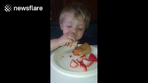 Kid falls asleep while eating