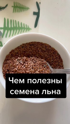 Flax Seed and Milk Smoothie Preparation Guide