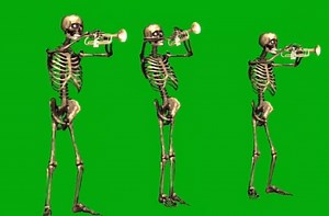 Watch Dancing Halloween Skeleton on Amazon Live