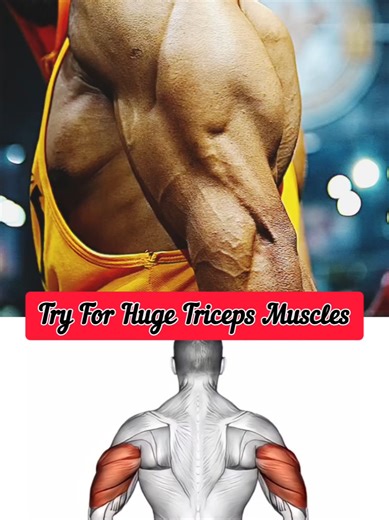 Build Brutal Triceps From Now 💪 | Best Triceps Exercises for Big Arms 📝 Description: Want thick, powerful triceps that make your arms look massive? This workout targets all three heads of the triceps using proven, effective exercises you can start from now. 🔥 Exercises Covered: • Band Overhead Triceps Extension • Kettlebell Incline Triceps Extension • Dumbbell Lying Alternate Extension • Dumbbell Lying Extension • Cable Seated High Triceps Extension Train with control, intensity, and focus — 