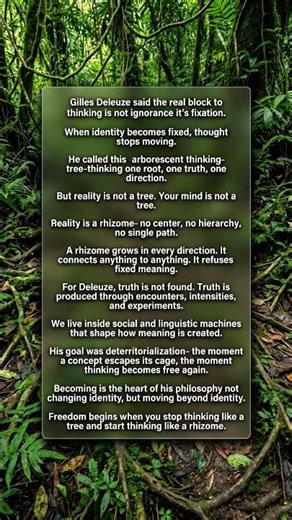Stop Thinking Like a Tree — The Deleuze Philosophy That Breaks Mental Prison Walls