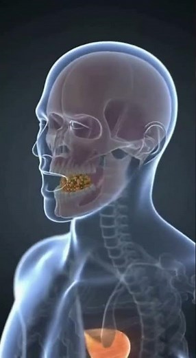 How Chewing Food Properly Affects Health #health #facts #3danimation