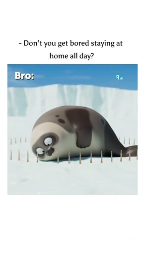 Fun fact : don’t you get bored staying at home all day? #facts #funny #fun #fact