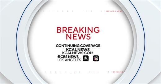 LAPD chase apparent gang member allegedly armed with a rifle