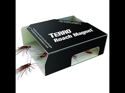 Get Rid of Roaches with TERRO® Roach Magnet®