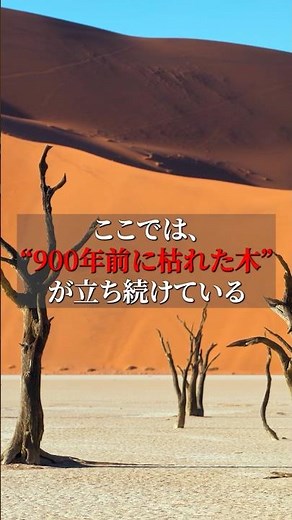 A Place Where Black Trees Still Stand | Deadvlei