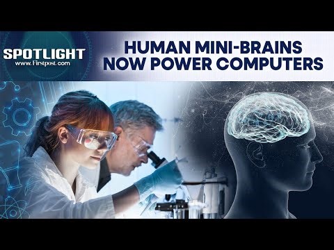 Swiss Scientists Create Computers Made from Living Brain Cells | Spotlight | N18G