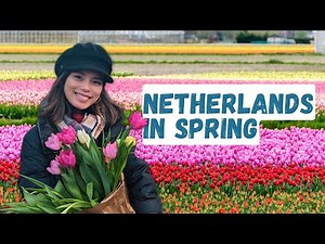 How to Enjoy the Tulips in the Netherlands (Your Ultimate Guide!)