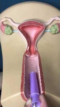 Aprende a ponerte un tampon ✨ #tampon