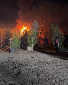 Wednesday 13 on Reels