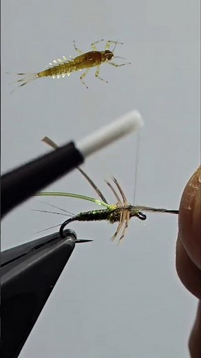 Tying a Baetis Nymph AKA Blue Wing Olive #shorts #flytying #nymphs