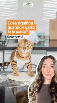 What does it mean when your cat makes pasta?