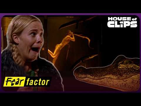 Stunt 3: Alligator Tank | Fear Factor Championship