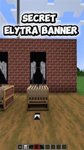 🚀 Secret Elytra Banner in Minecraft!
