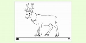 Reindeer Colouring Page