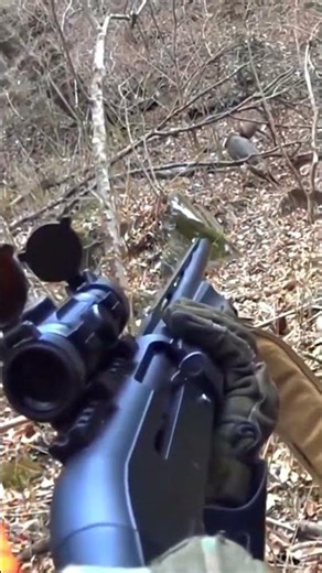 I Hunted three Deer with Walmart's Cheapest Rifle! #harehunting #chase #hunters #chase #bowhunting