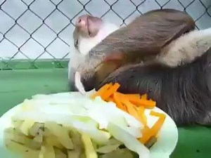 64K views · 1.7K reactions | Rest days... | The Bodybuilding Nation | Facebook